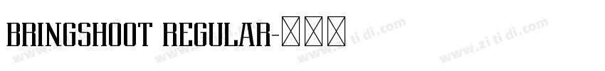 BRINGSHOOT REGULAR字体转换 BRINGSHOOT REGULAR字体转换